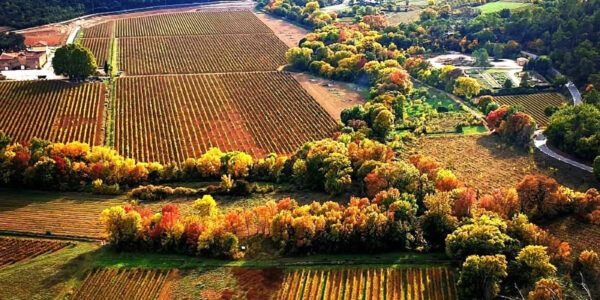 Notre Dame du Glaive